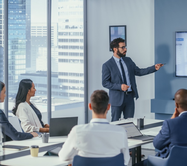 Large Enterprises
